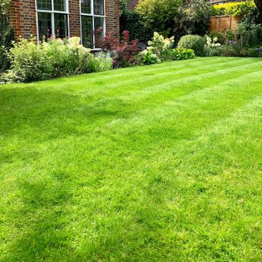 Lawn Care, Garden Maintenance and Turfing