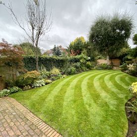 Lawn Care, Garden Maintenance and Turfing